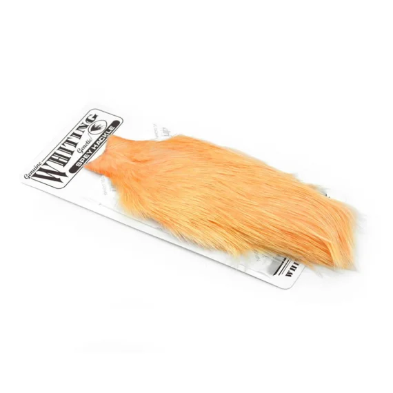 sportfishtackle-2056213