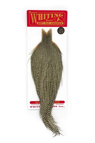 sportfishtackle-2058777