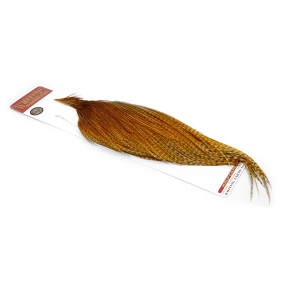 sportfishtackle-2058861
