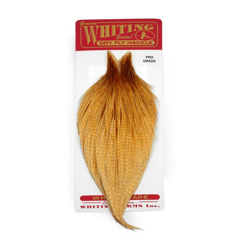 sportfishtackle-2059068