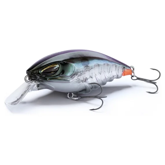 sportfishtackle-2060381