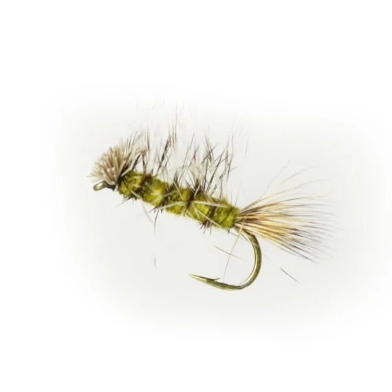 sportfishtackle-2062978