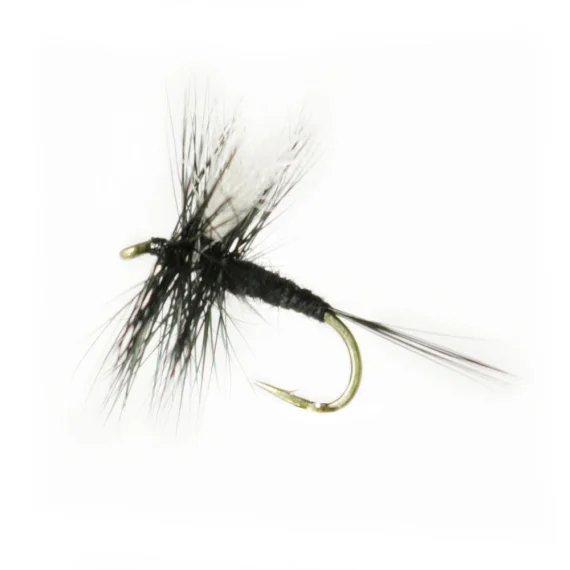 sportfishtackle-2062989