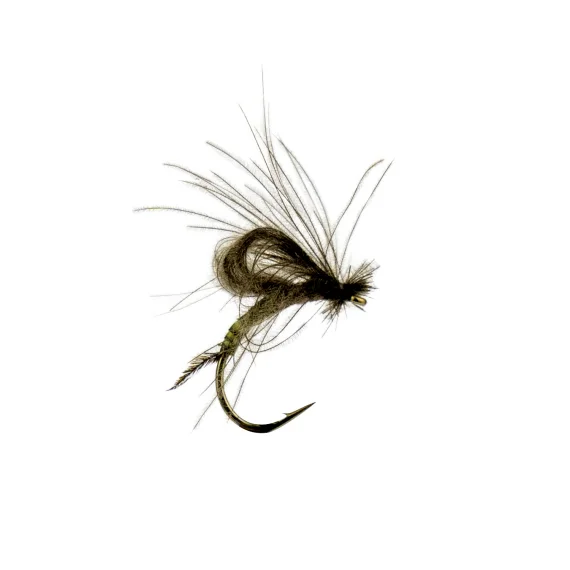 sportfishtackle-2063040