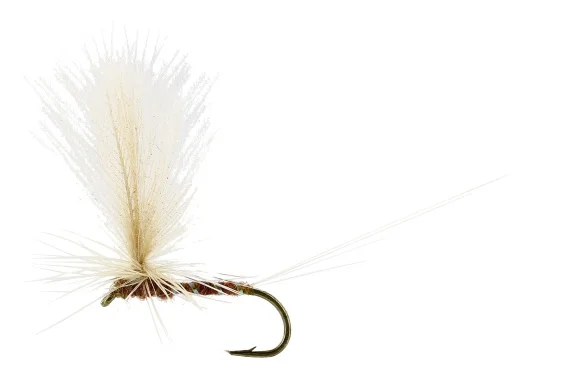sportfishtackle-2063676