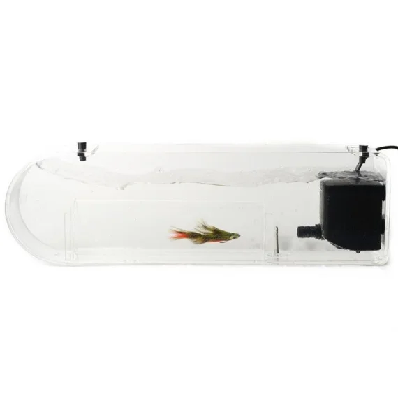 sportfishtackle-2063846