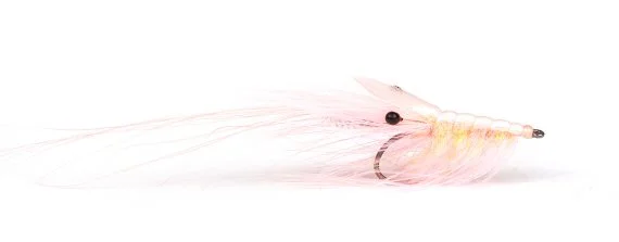 sportfishtackle-2064298
