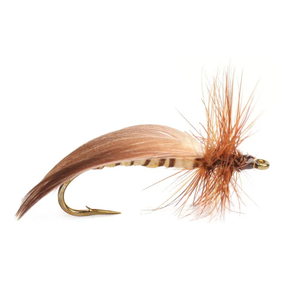 sportfishtackle-2065135