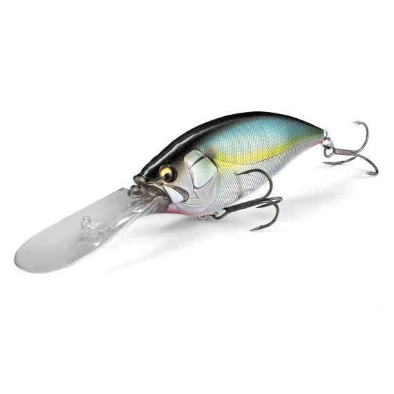 sportfishtackle-2067403