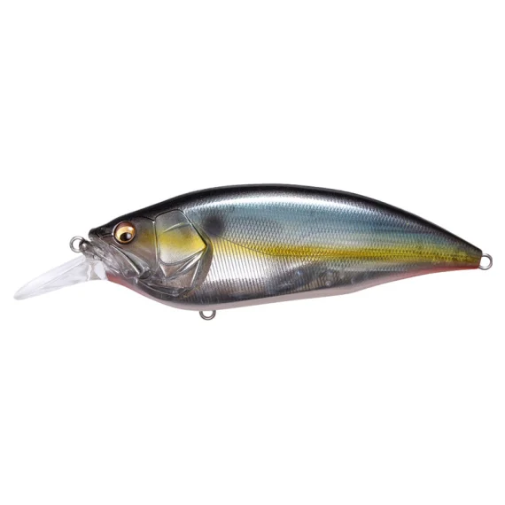 sportfishtackle-2067522