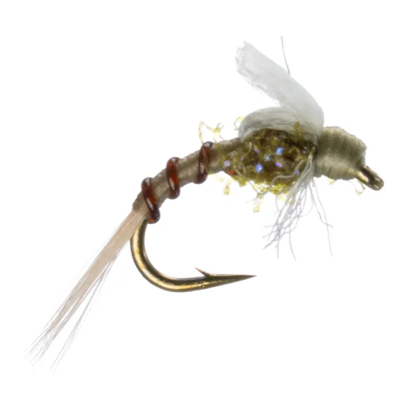 sportfishtackle-2068829