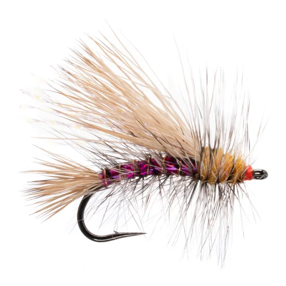 sportfishtackle-2068842