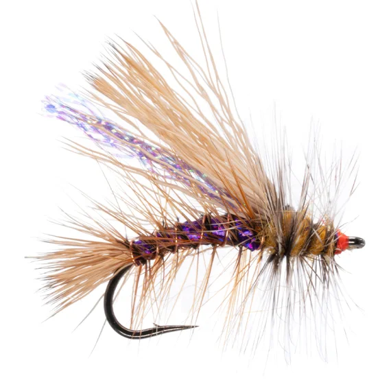 sportfishtackle-2068845