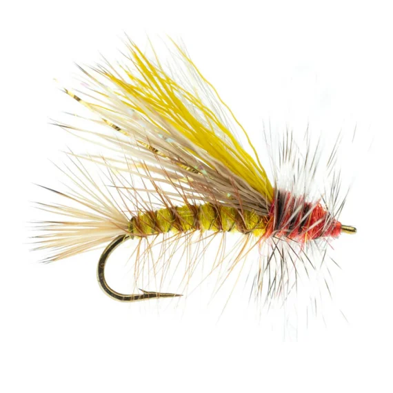 sportfishtackle-2068866