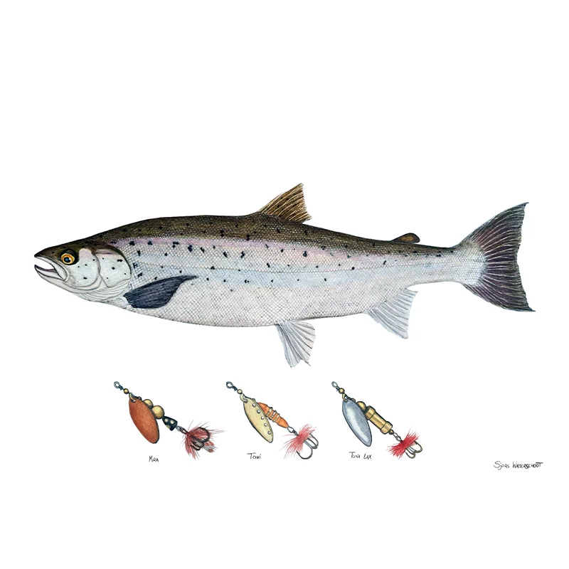 sportfishtackle-2068990