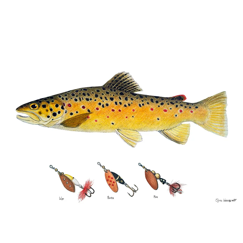 sportfishtackle-2068992
