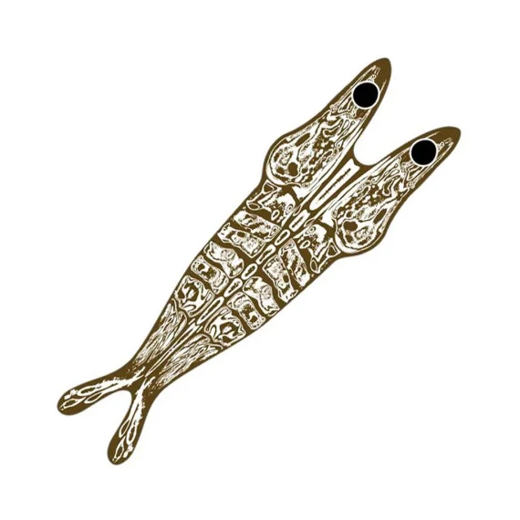 sportfishtackle-2070172