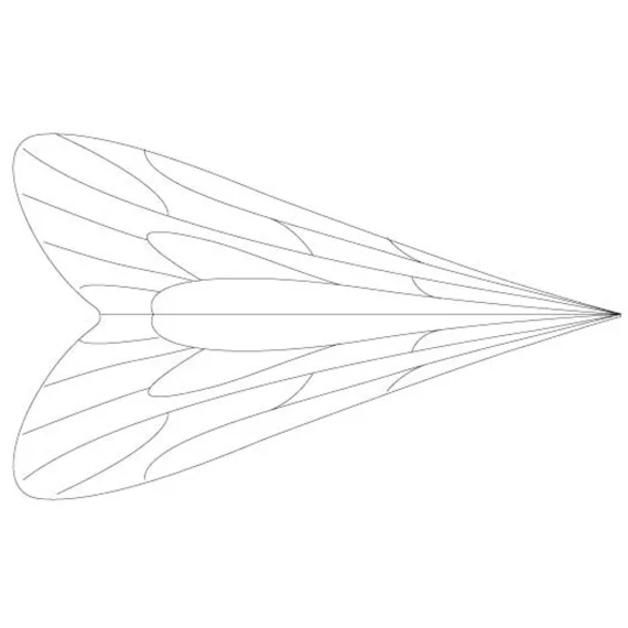 sportfishtackle-2070173