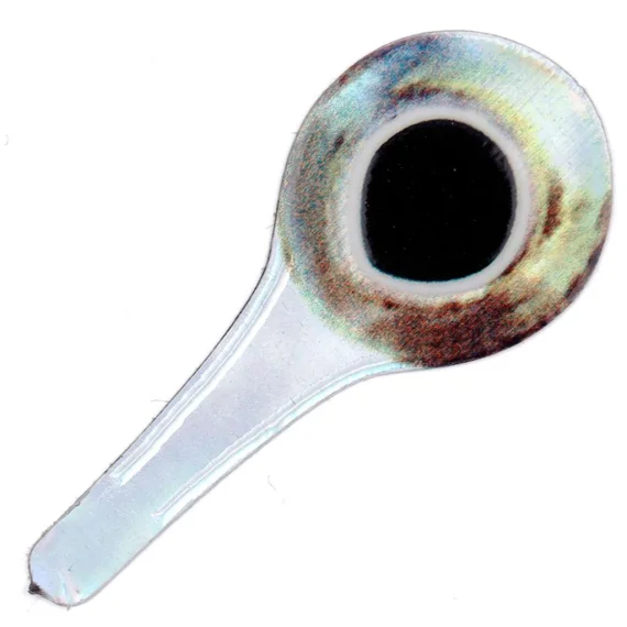 sportfishtackle-2070197