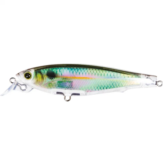 sportfishtackle-2070332