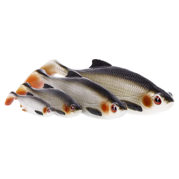 sportfishtackle-2070674