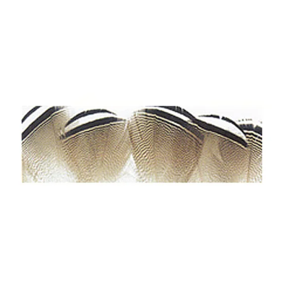 sportfishtackle-2074472